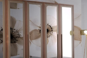 Puertas con Vidrio o Espejo